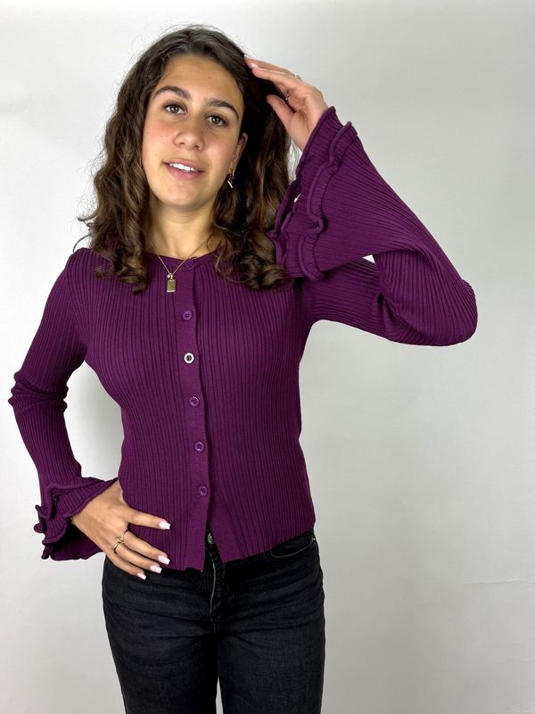 Flare Vest Purple