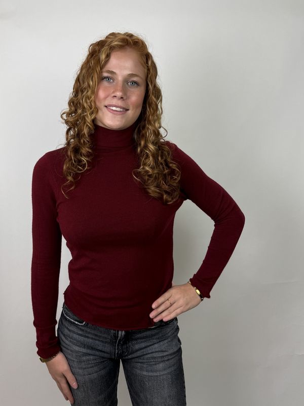 Burgundy Top met Turtleneck