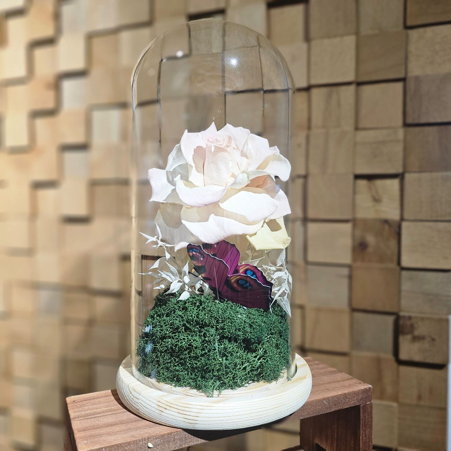 Cupola trandafir criogenat