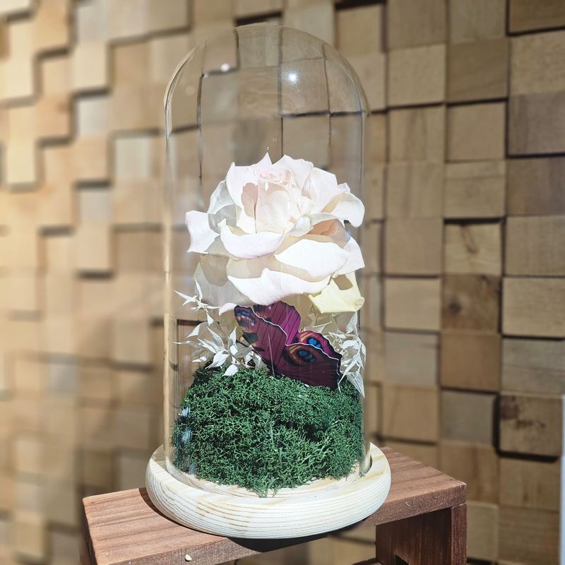 Cupola trandafir criogenat