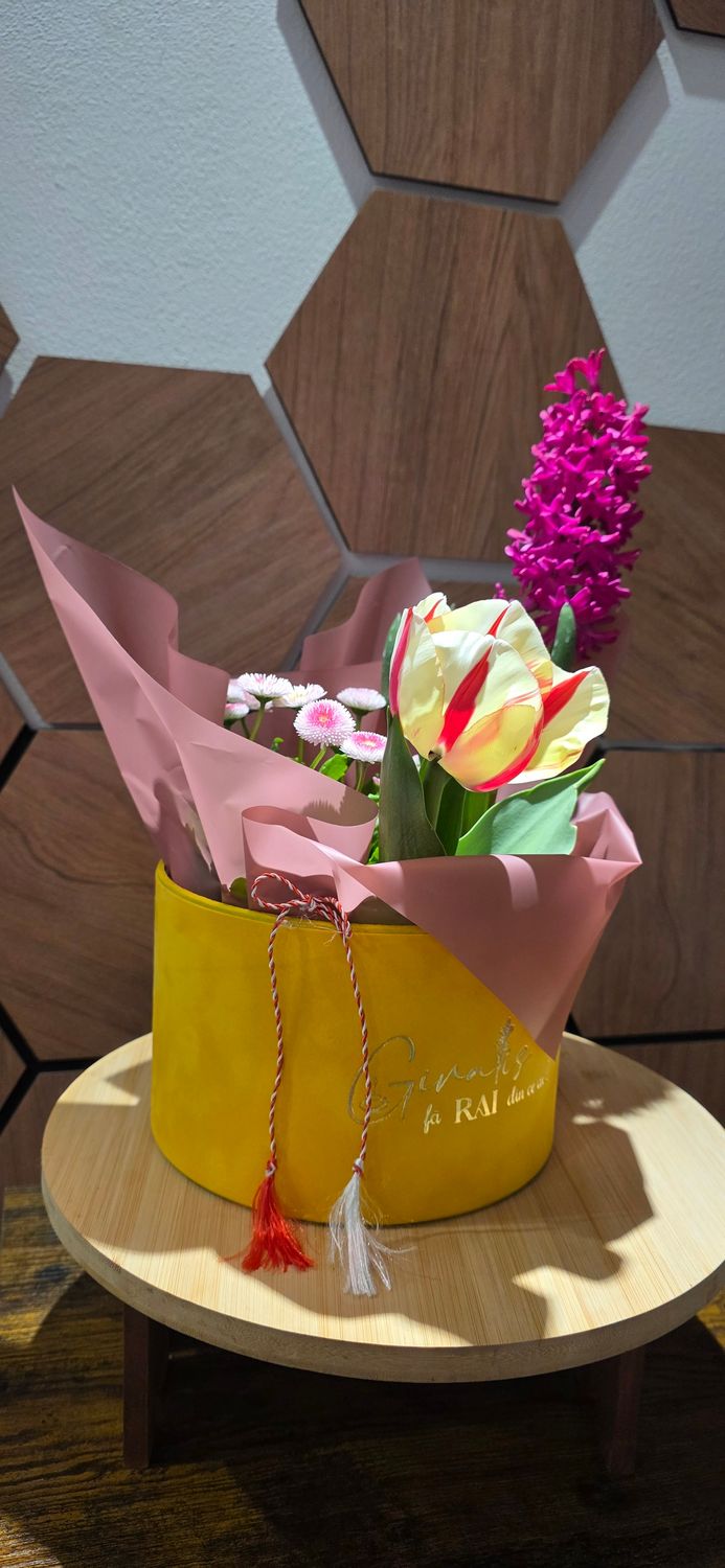 Mix plante primavara