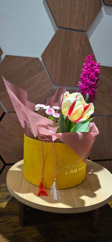 Mix plante primavara