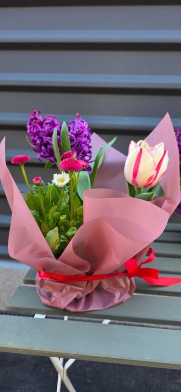 Aranjament 3 flori la ghiveci