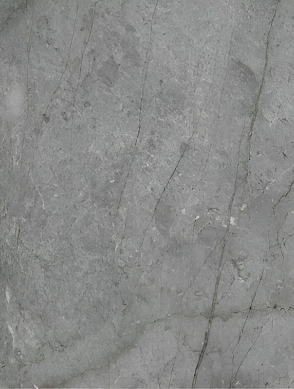 panel