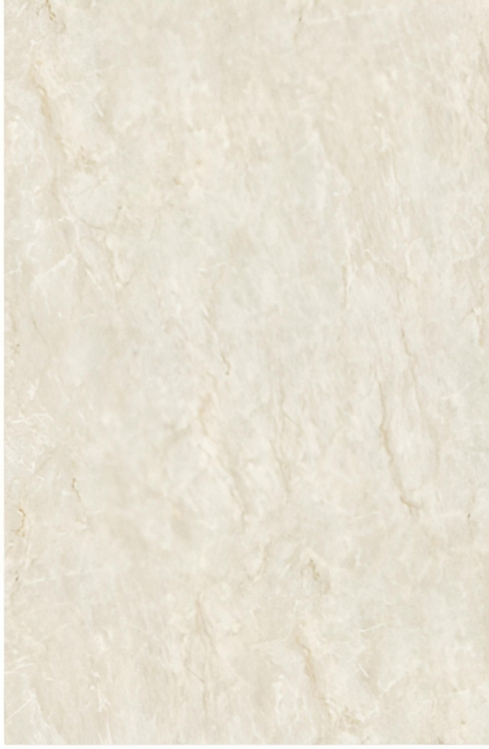 panel
