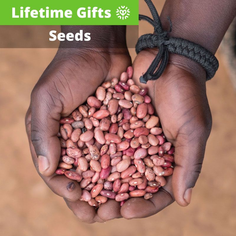 Seeds