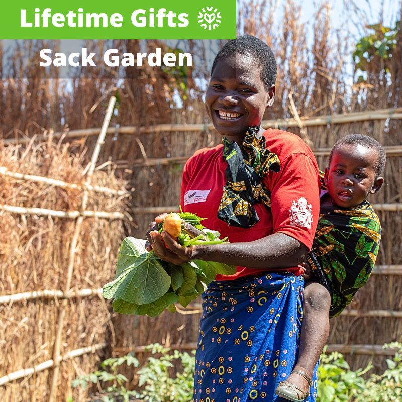 Sack Garden