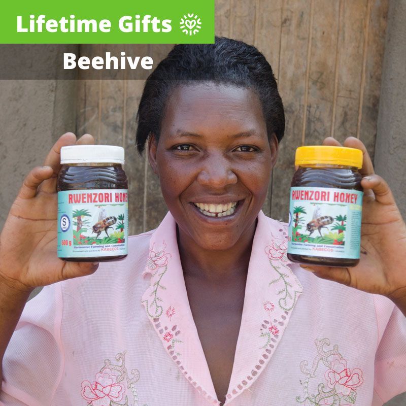 Beehive
