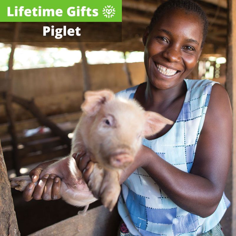 Piglet