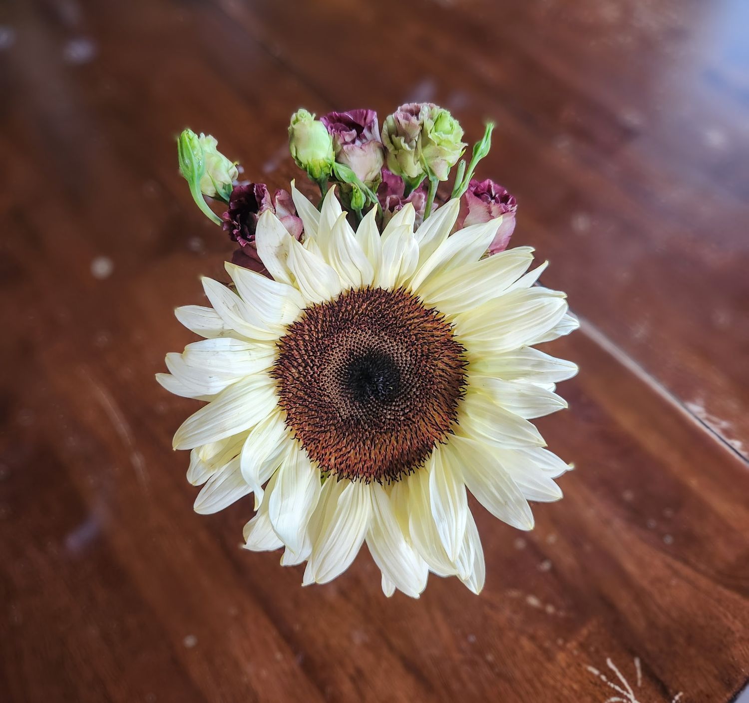 Desktop bouquet