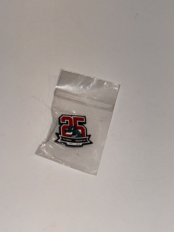 25th  Anniversary Lapel Pin