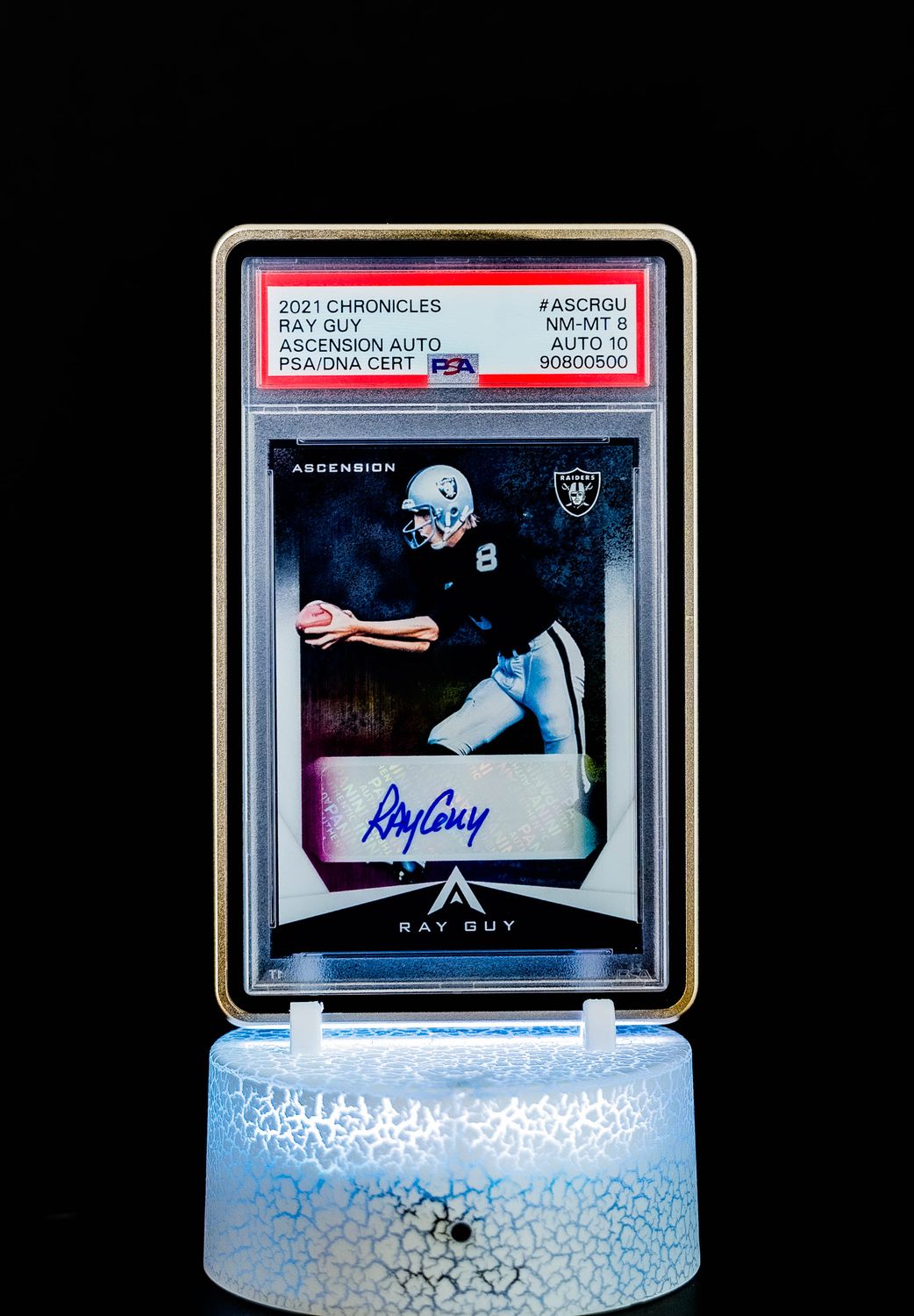 2021 Chronicles Ascension Auto Ray Guy #ASCRGU (PSA Card NM-MT 8, Auto 10 PSA: #90800500) (POP 1)