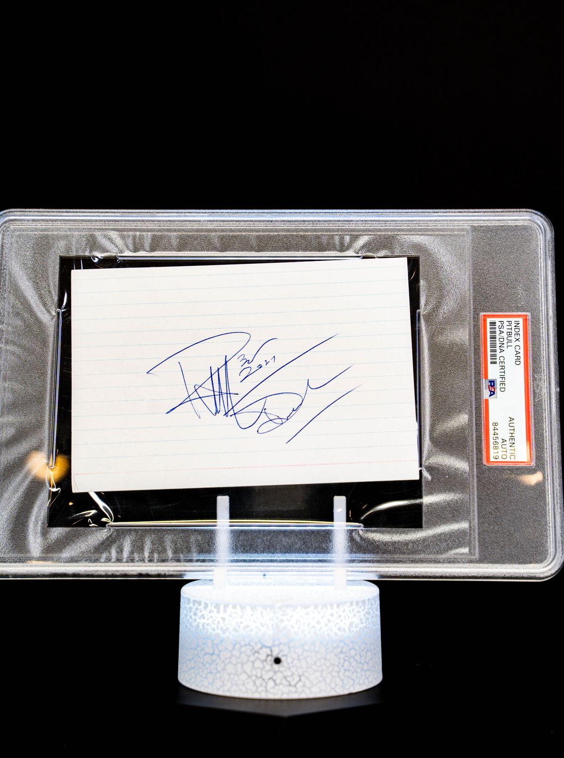 Index Card Autographed by the singer Pitbull AKA, Mr. Worldwide
