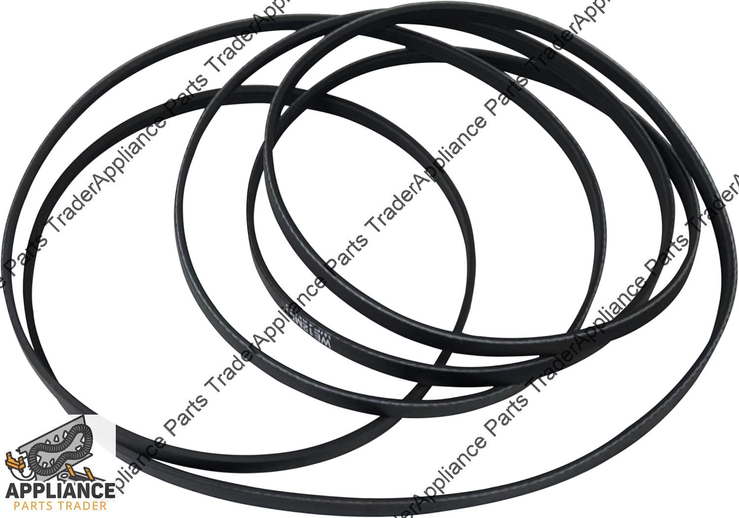WE12M51CM-Belt