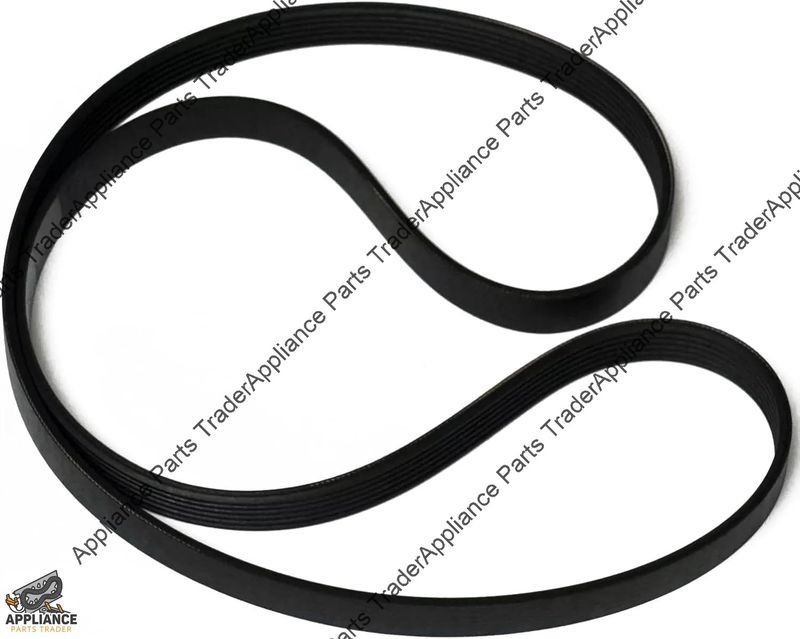 WH08X10050CM-Belt