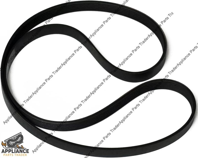 WH08X10024CM-Belt