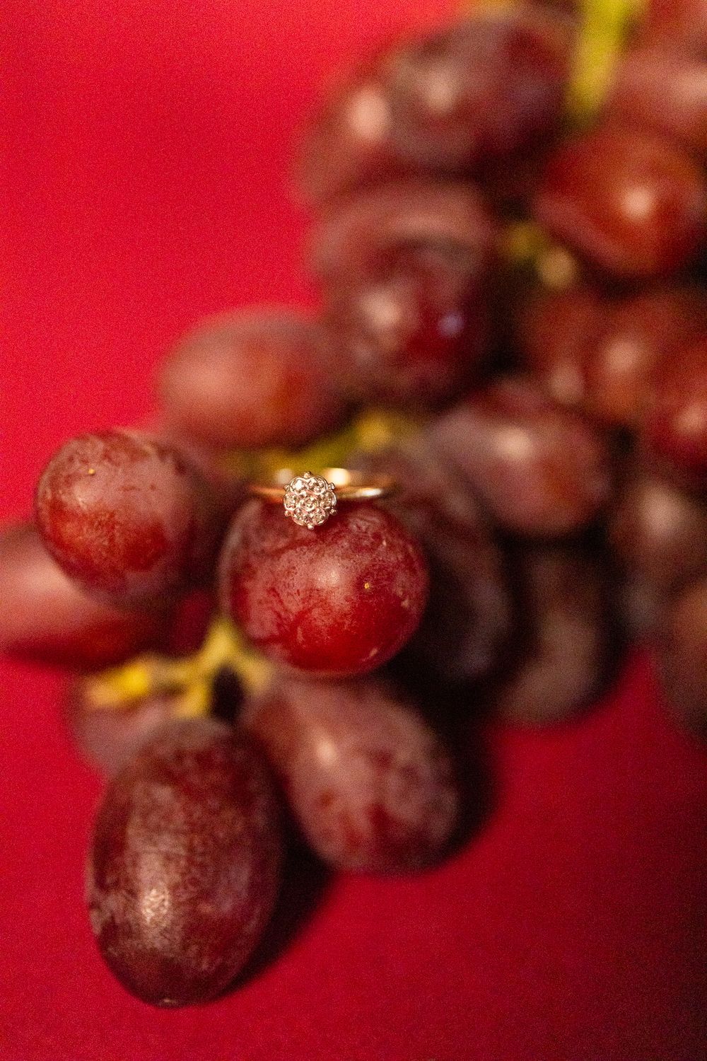 The Sophia: 10k Yellow Gold and White Gold 7-Diamond Floral Ring, 0.10CTW