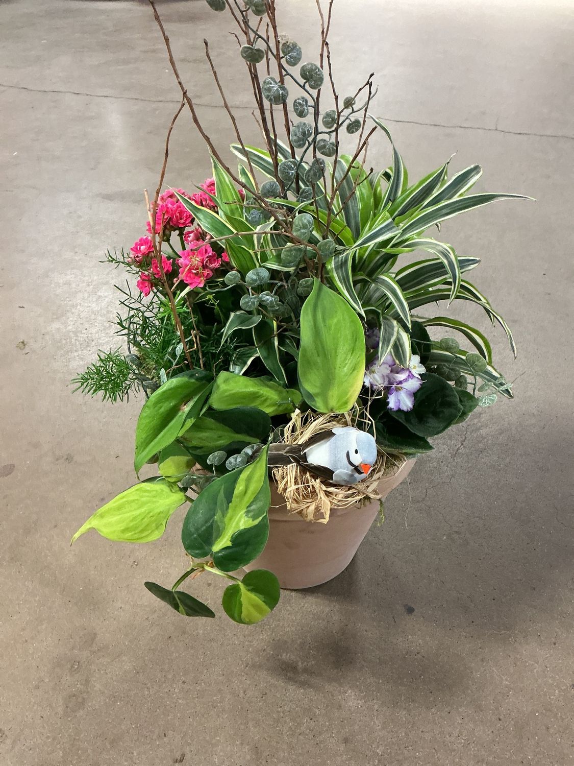 Dish Garden $69.99