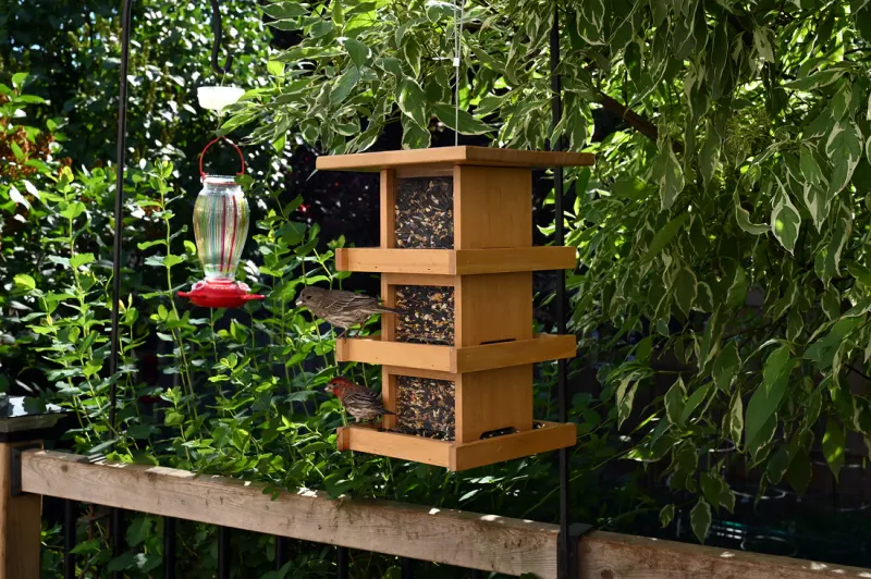 Bird Feeder $69.99