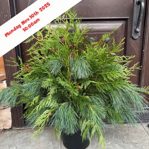 Workshop Outdoor Urn Monday November 10 2025 @ 10:00 am