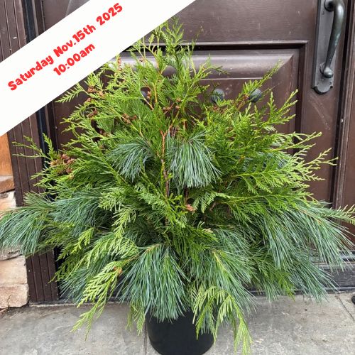 Workshop Outdoor Urn Saturday November 15 2025 @10:00 am