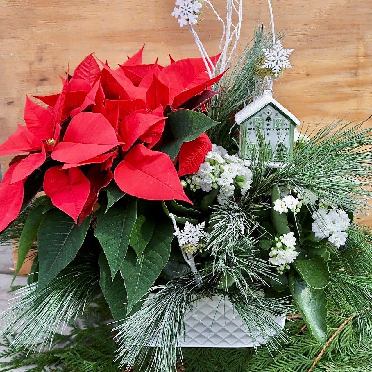 Christmas Dish Garden 89