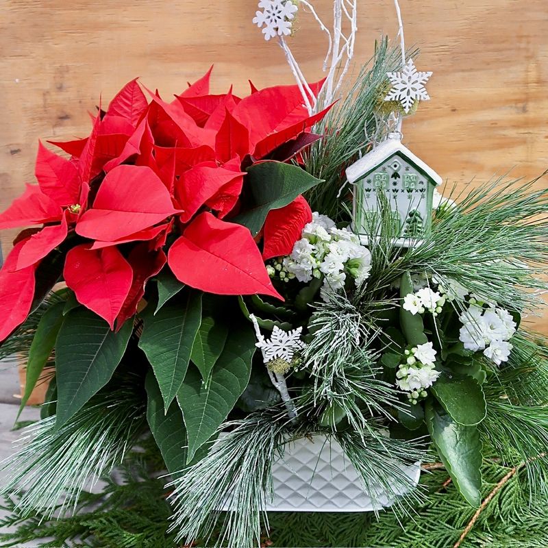 Christmas Dish Garden 89