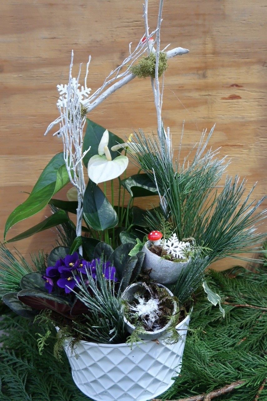 Christmas Dish Garden 69