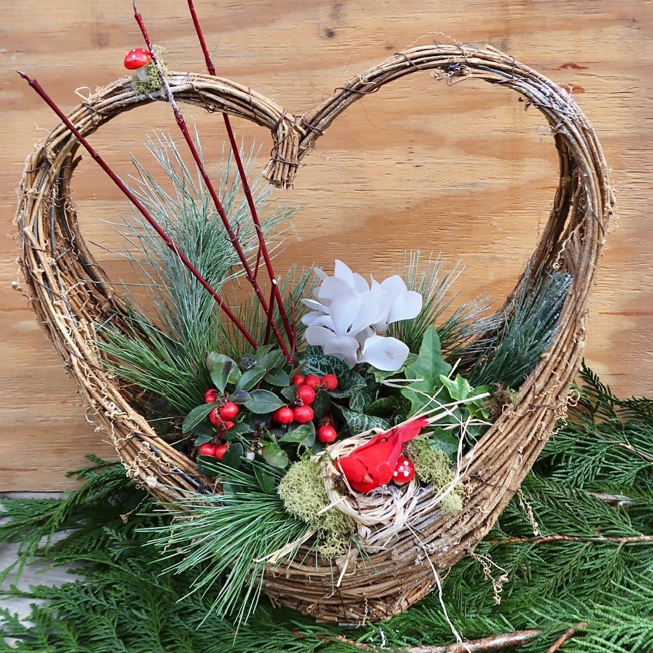 Christmas Dish Garden 49