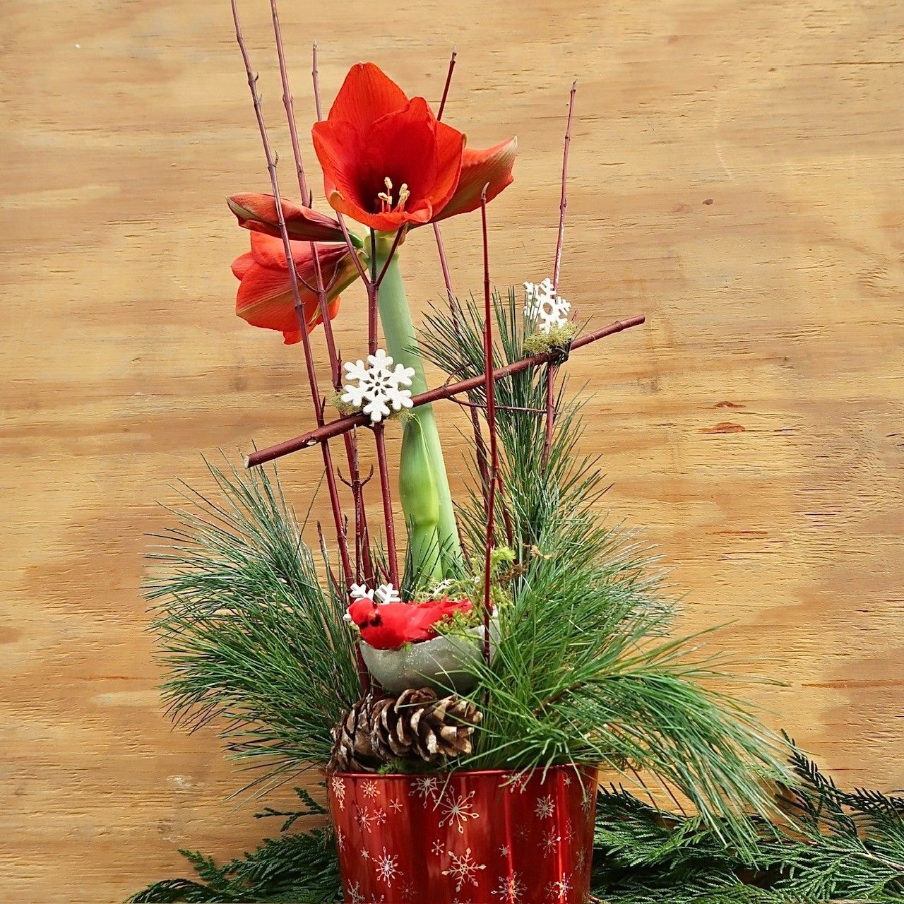 Christmas Dish Garden 39