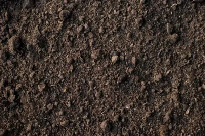 Soil / Sand