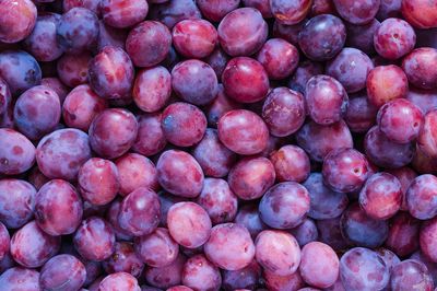 Plum