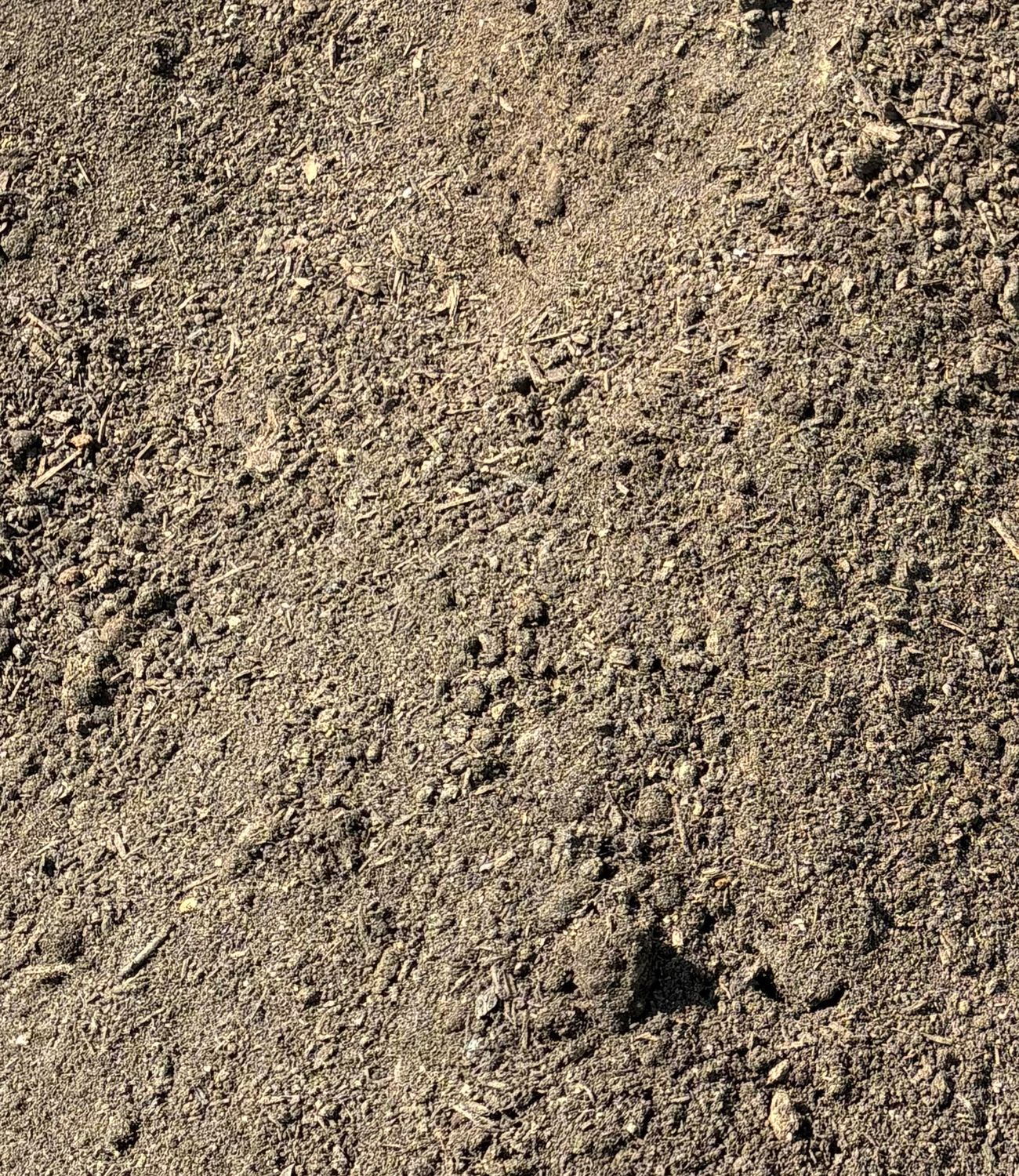 Bulk Mushroom Compost Soil 1/2yd $45.00 Bulk Mushroom Compost Soil 1/2yd $45.00
