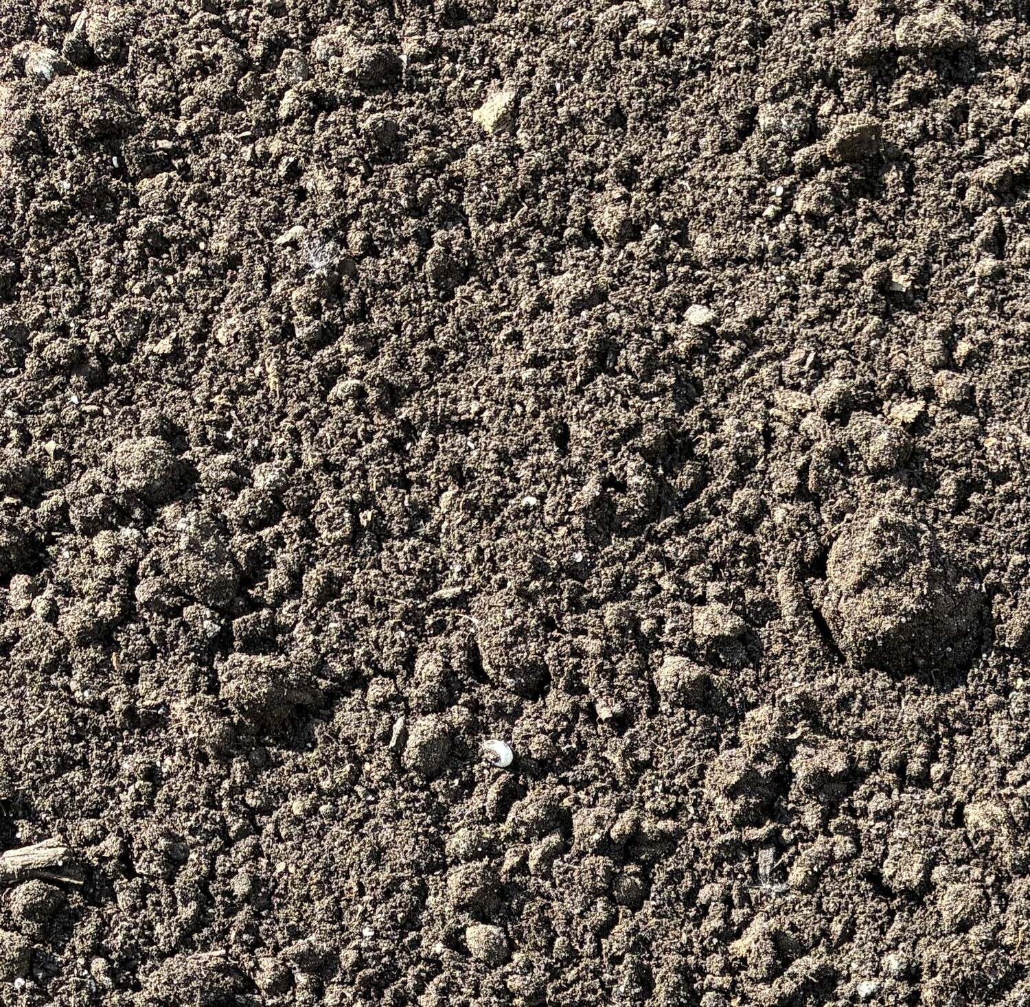 Bulk Peat Moss 1/2 yd $45.00
