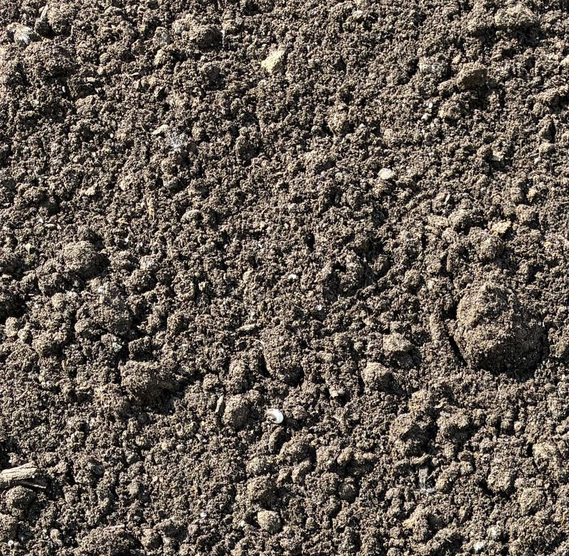 Bulk Peat Moss 1/2 yd $45.00
