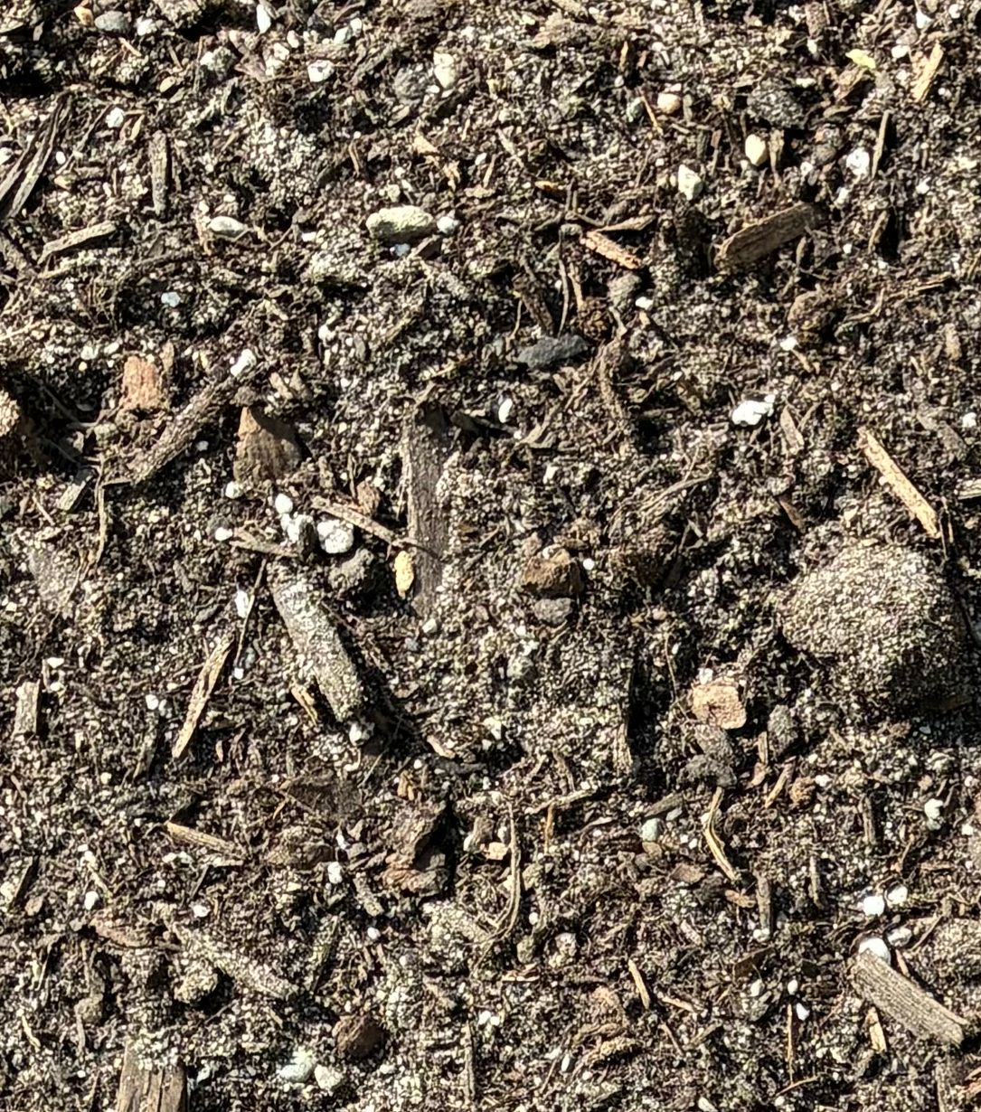 Bulk Raised Planter Box Mix 1/2yd $60.00