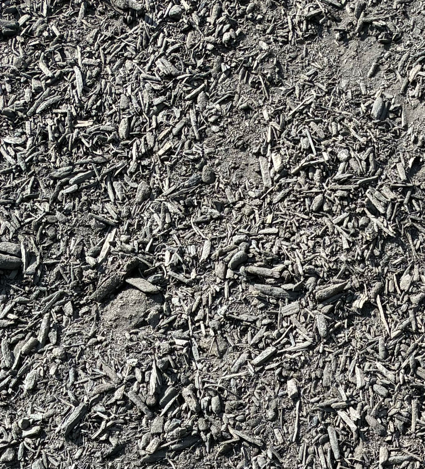 Bulk Good Earth Regular Compost 1/2yd BIO $22.00 Bulk Good Earth Regular Compost 1/2yd BIO $22.00