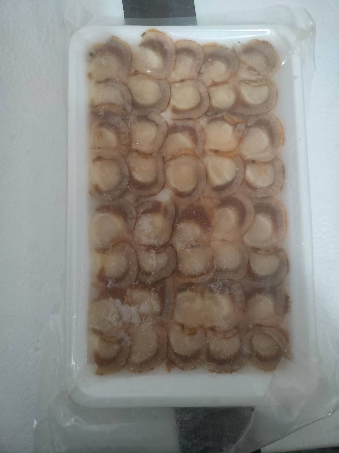 熟扇貝
