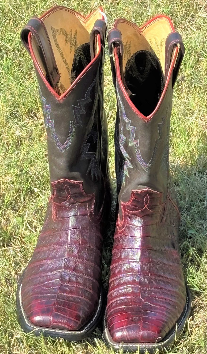 Caimen Boots, Colour: Black Cherry, Size: 10D