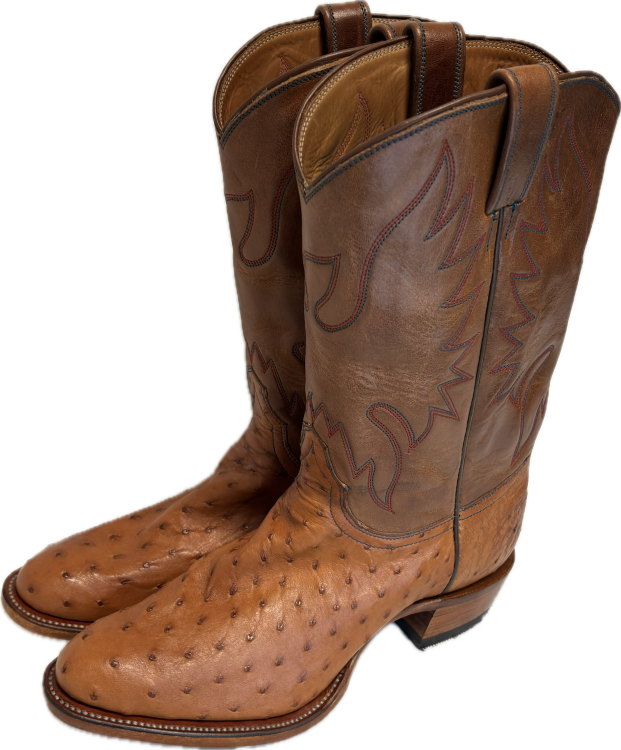 Mens Ostrich Boots