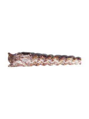 Carved Stone Pipe - Seashell