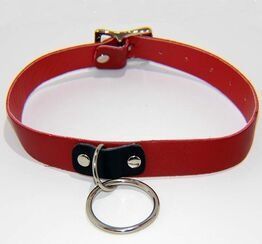 Kitty Collar with O Ring