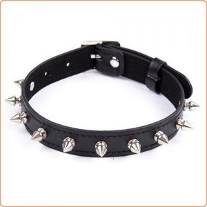 Spiked Collar