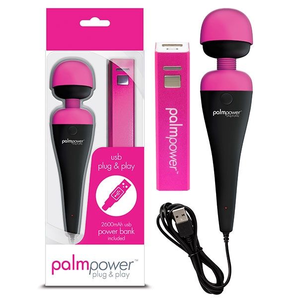 Palm Power Plug and Play