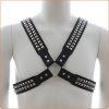 Harness With Two Rows O Shiny Pyramid Studs