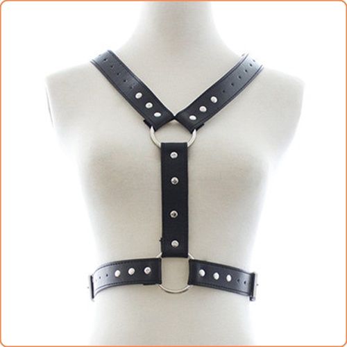 Leather Strap Harness