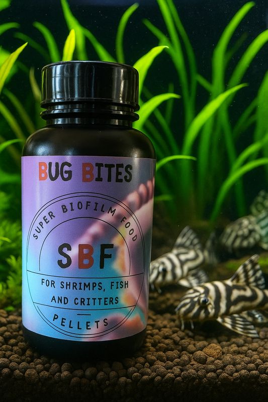 SBF Bug Bites 100g