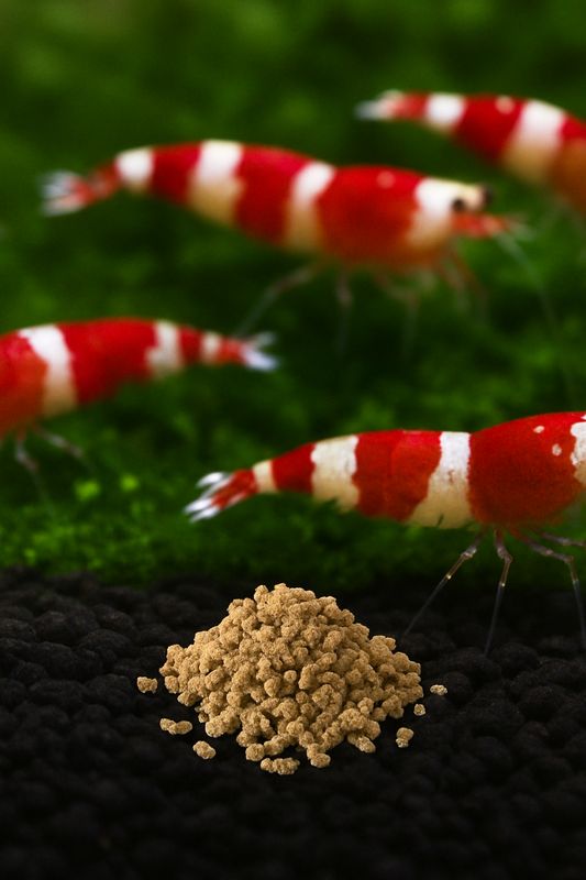 SBF Snowflake Pellets 50g