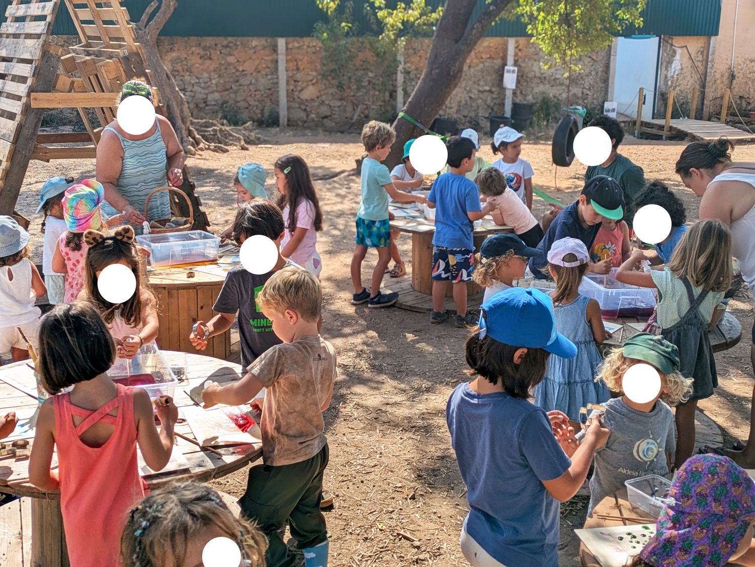 Rewilding School Visits