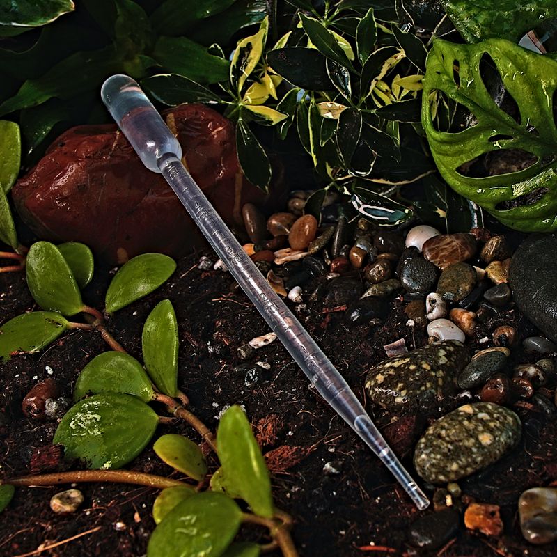 5ml Calibrated Dropper